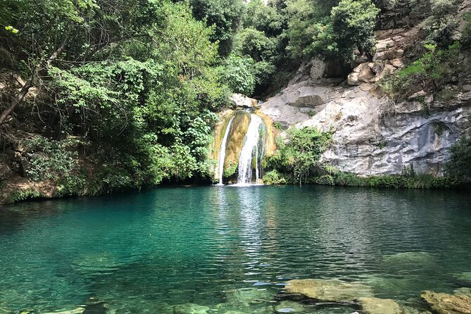 Hike to Secret Waterfalls of the Pyrenees Mountains, From Barcelona & Girona - Why Alta Garrotxa waterfalls beat a straight city plan
