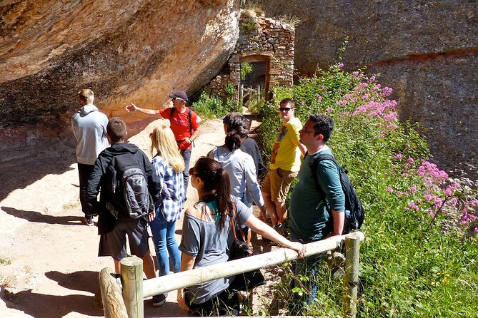 Historical Montserrat Half-Day Hiking Tour from Barcelona - Abadia de Montserrat: Santa Maria, the Benedictine Monastery, and the Black Madonna