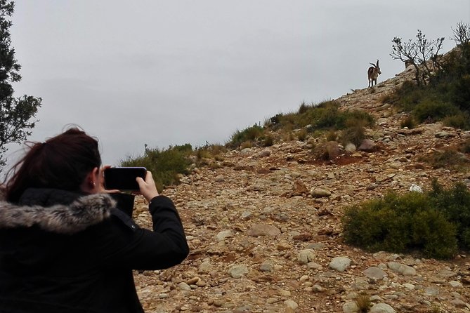 Historical Montserrat Half-Day Hiking Tour from Barcelona - Shrines and Hermitages Inside Montserrat Nature Park
