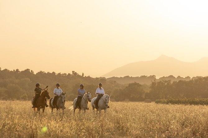 Horse Riding and Wine Tasting Experience - Key highlights you’ll actually feel