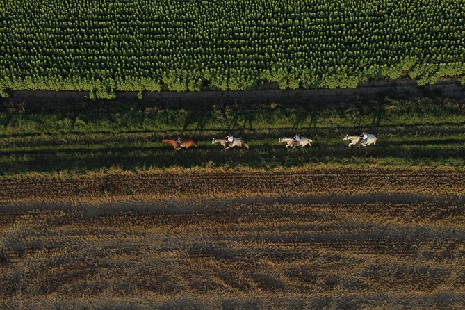 Horse Riding and Wine Tasting Experience - Cal Robusto stables: meeting, prepping, and getting comfortable