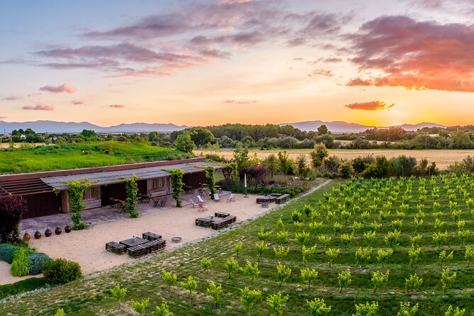 Horse Riding and Wine Tasting Experience - Clos de Basella vineyard visit: how sustainability becomes a story