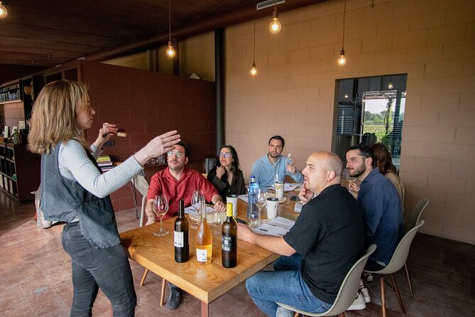 Horse Riding and Wine Tasting Experience - Wine tasting: what you’re tasting and how to enjoy it