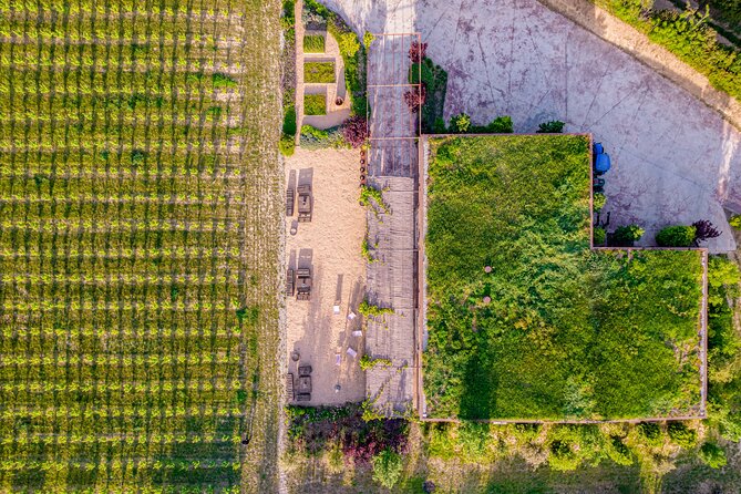 Horse Riding and Wine Tasting Experience - Who should book this (and who might not)