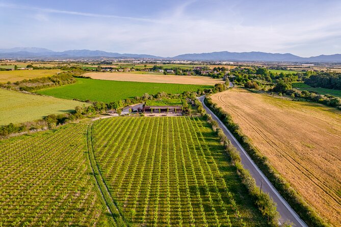 Horse Riding and Wine Tasting Experience - Should you book Clos de Basella horseback and tasting?