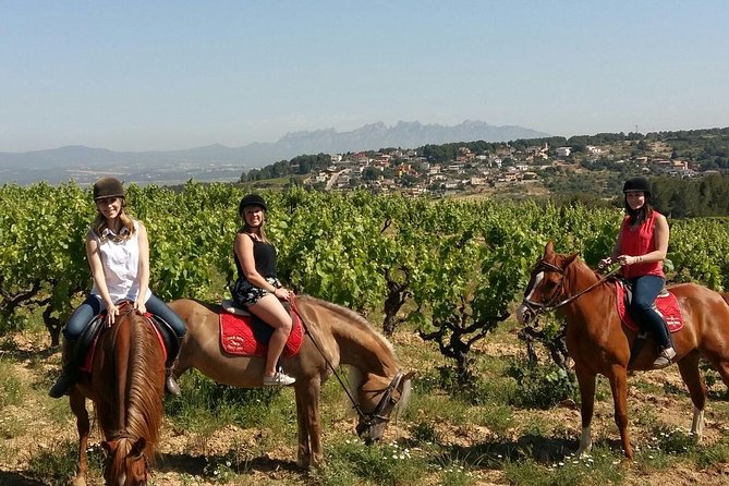 Horseback Ride, Penedes, Wine Tasting & Tapas Private Tour - Quick takeaways before you go