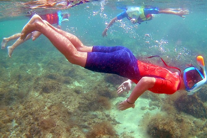 Kayak excursion in Playa de Aro - Who Should Book This Kayak and Snorkel Trip?