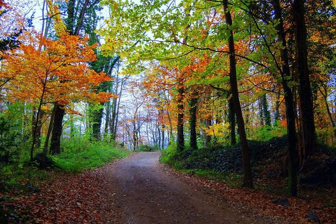 Medieval Villages & La Garrotxa Volcanic Zone Hiking. Small Group Tour - Croscat Volcano and the Quarry Scar: When the Park Shows Its Past