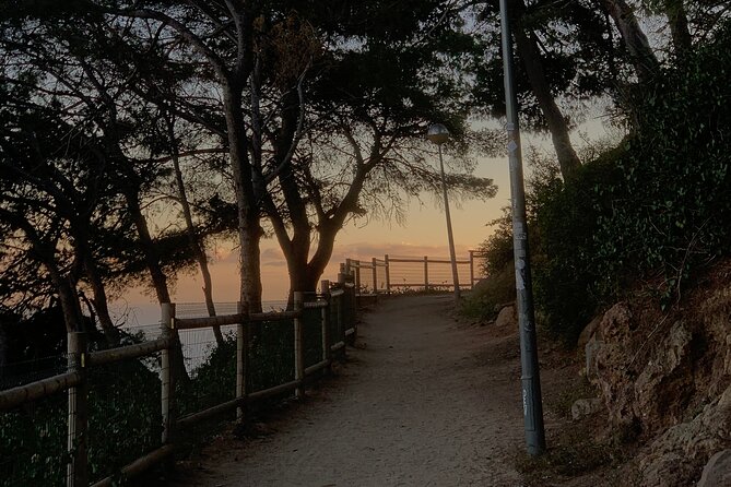 Montjuïc Magic: Hidden Pathways, Vermut Delights & Sunset Bliss - Teatre Grec: vermouth in a Greek-theater inspired setting