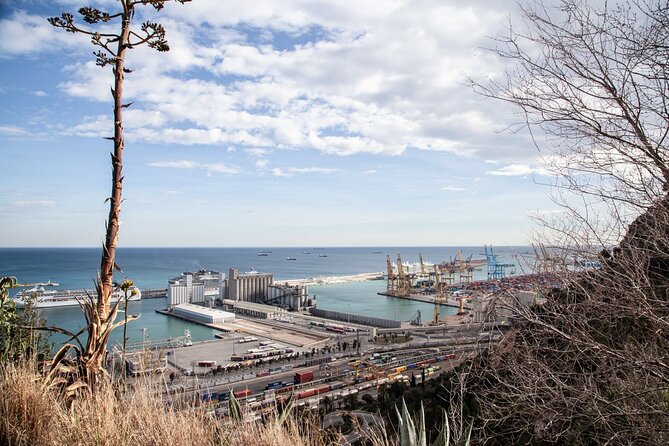 Montjuïc Walking Tour With Optional Flamenco Show - Why Montjuïc feels like a different city than central Barcelona
