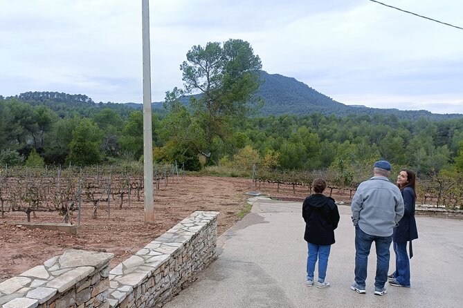 Montserrat & beyond private tour with pickup, tickets & options - Private guide and big-group flexibility (40 to 50 to 60 to 70)
