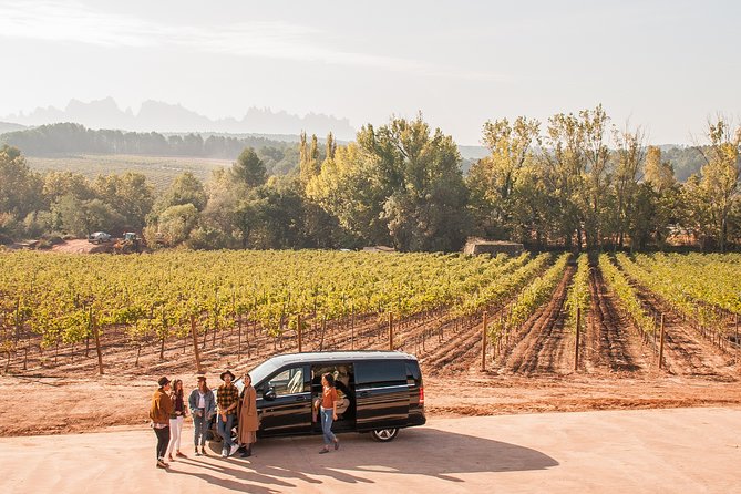 Montserrat & Boutique Winery with Catalan Brunch | Private Tour - What the Montserrat walking feels like (and how to plan for it)