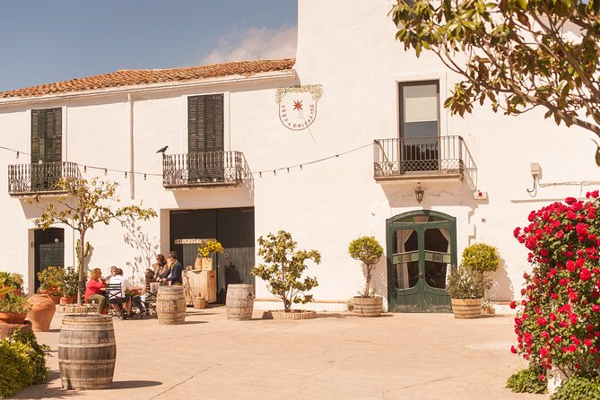 Montserrat & Boutique Winery with Catalan Brunch | Private Tour - Wine tasting up to 4 products, plus a real Catalan brunch break