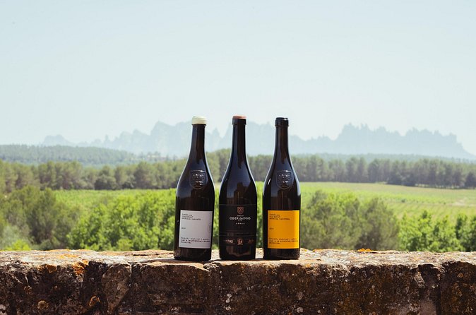 Montserrat & Boutique Winery with Catalan Brunch | Private Tour - Price and value: what $535.30 covers that you would otherwise pay for separately