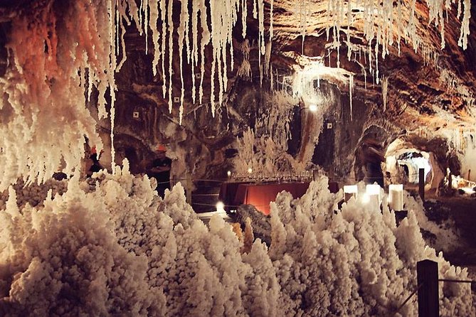 Montserrat Cardona and Salt Mountain Private Tour - Cardona town: a medieval citadel with a serious salt identity
