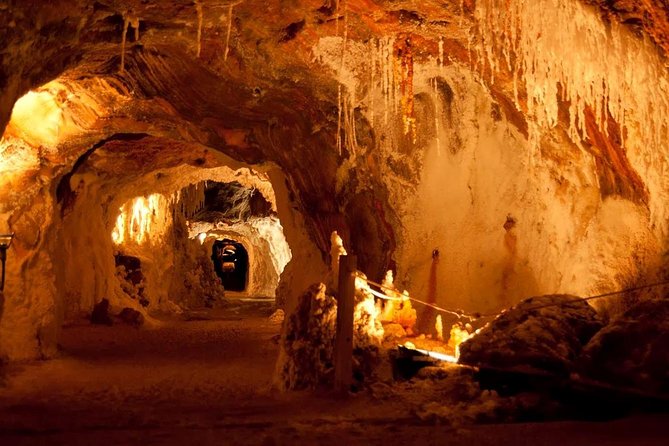 Montserrat, Cardona and Salt Mountain Small Group Tour - Who Should Book This Tour, and Who Might Skip It