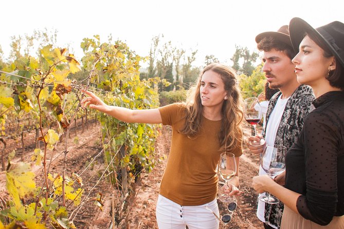Montserrat & Cogwheel Train, Gourmet Wine Tasting & Tapas/Lunch - Tapas, wine tastings, and lunch options: pick the package that fits your style