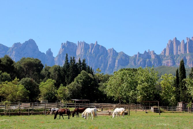 Montserrat Horseback Riding & Monastery – Small Group (Max 8) - Meet at Pg. de Gràcia, then trade city noise for mountain air