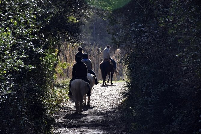 Montserrat Horseback Riding & Monastery – Small Group (Max 8) - Horseback riding on Montserrat farms: beginner-friendly, but think heat