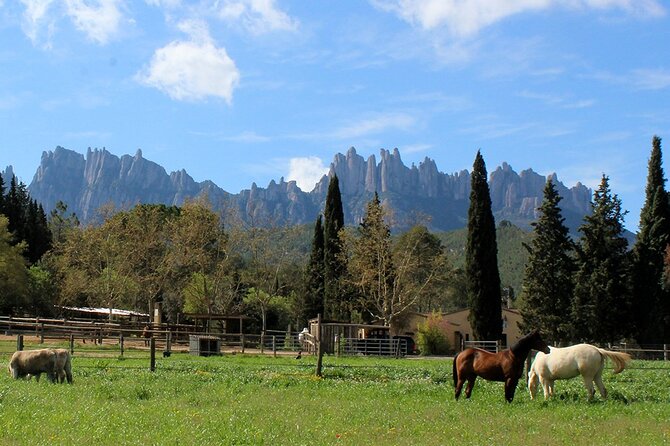 Montserrat Horseback Riding & Monastery – Small Group (Max 8) - Back to Barcelona: settle in for lunch and afternoon plans