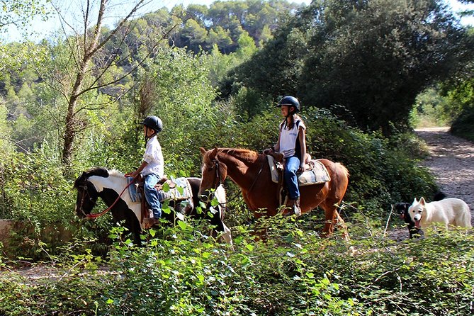 Montserrat Horseback Riding & Monastery – Small Group (Max 8) - Who this tour fits best (and who should skip it)