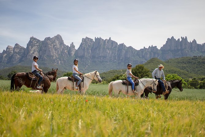 Montserrat Monastery & Horse Riding Experience from Barcelona - The drive past Diagonal: quick Barcelona context before the mountains steal the show