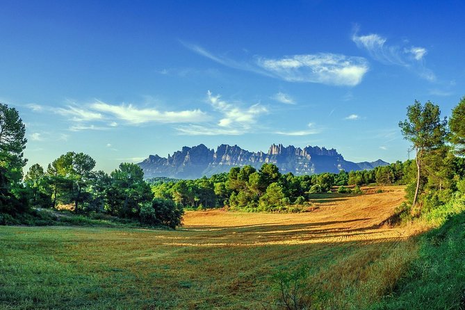 Montserrat Monastery Small Group or Private Tour Hotel pick-up - The Small Group Advantage (Up to 8 People)