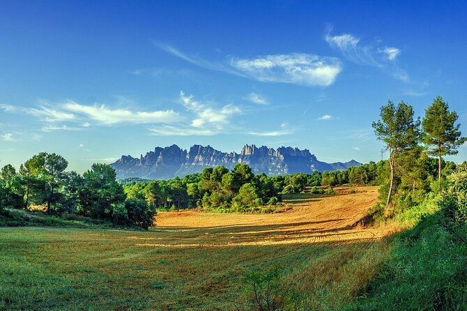 Montserrat Private Tour with Hotel pick-up from Barcelona - Inside the Basilica of Montserrat and the Black Madonna