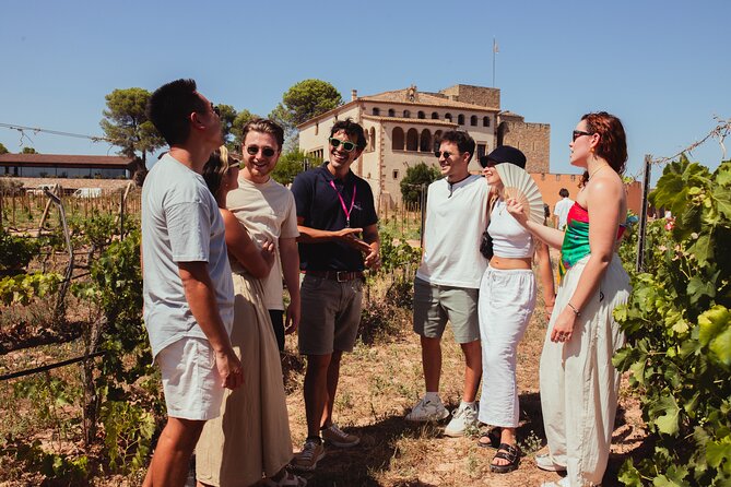 Montserrat Tour with Winery Lunch & Exclusive Cellar Experience - Transport, Group Size, and What That Means for Your Day