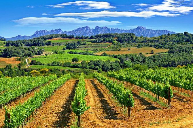 Montserrat,Vineyard, Wine Tasting Small Group Tour & Hotel Pickup - H2: Funicular de Sant Joan and Sant Jeroni Peak Views