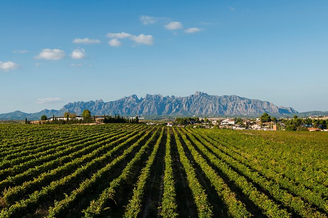 Montserrat,Vineyard, Wine Tasting Small Group Tour & Hotel Pickup - H2: Optional Montserrat Museum for Art Lovers
