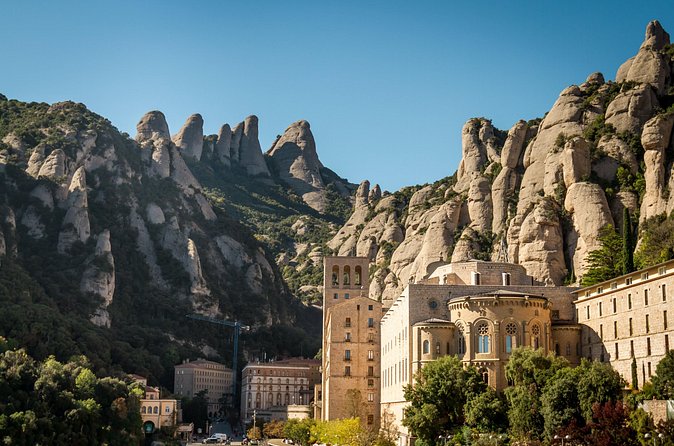 Montserrat with Black Madonna, Winery Tour & Lunch | Private Tour - The 4 organic wine tasting: how to taste with purpose