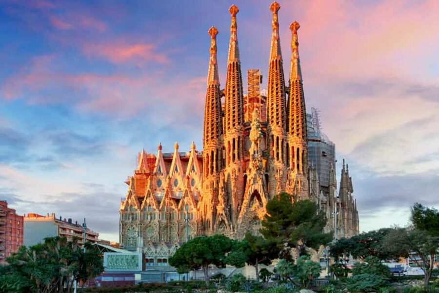 Official Sagrada Familia Guided Tour with Tower Access - Inside the basilica: stone forest columns, stained-glass light, and smart acoustics