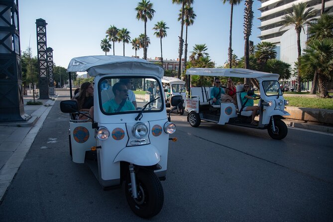 Official Tuk Tuk BCN l Barcelona 3 Hours City Tour - Montjuïc Hill: a planned break with big views and calm time
