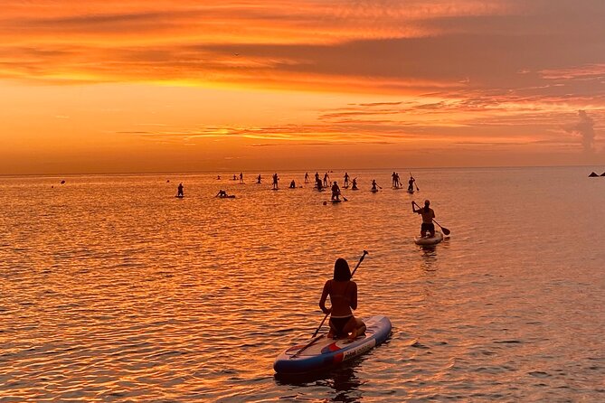 Paddle Surfing in Barcelona - What Happens Before You Hit the Water