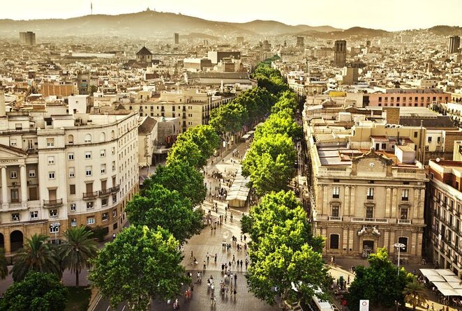 Paella Class & Bottomless Wine: Las Ramblas Views - Key highlights that matter before you book