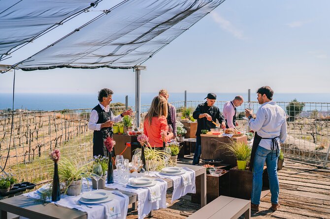 Paella Cooking Experience & Winery Tour from Barcelona - Weather and cancellations: the one risk to plan for