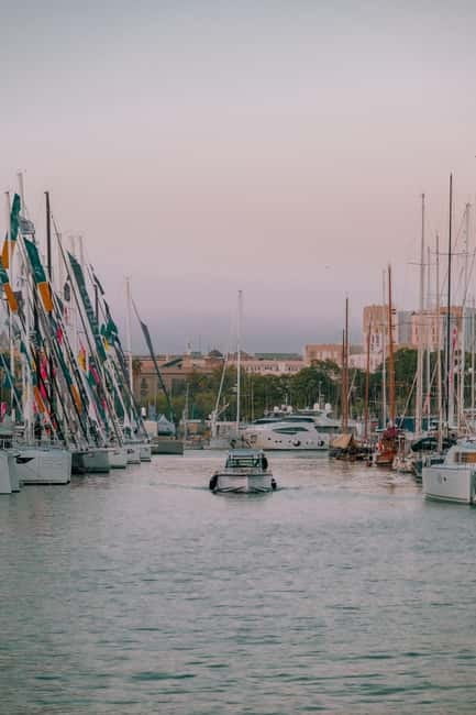 Panoramic Barcelona: Montjuïc, Cable Car, and Beach - Who should book this tour (and who might not)
