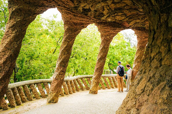Park Güell Skip-the-Line Guided Tour Barcelona - The 55-minute guided route: how the experience flows inside the park