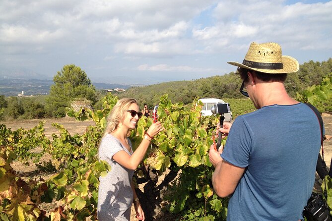 Penedes and Cava Winery Small Group Tour - Penedès Cava in a Small Group, With Hotel Pickup From Barcelona