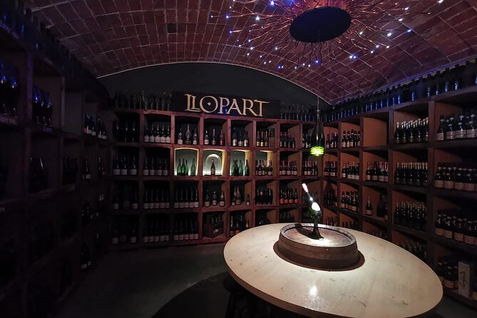 Penedes and Cava Winery Small Group Tour - What You Learn Beyond the Glass (So Your Barcelona Bottle Makes Sense)