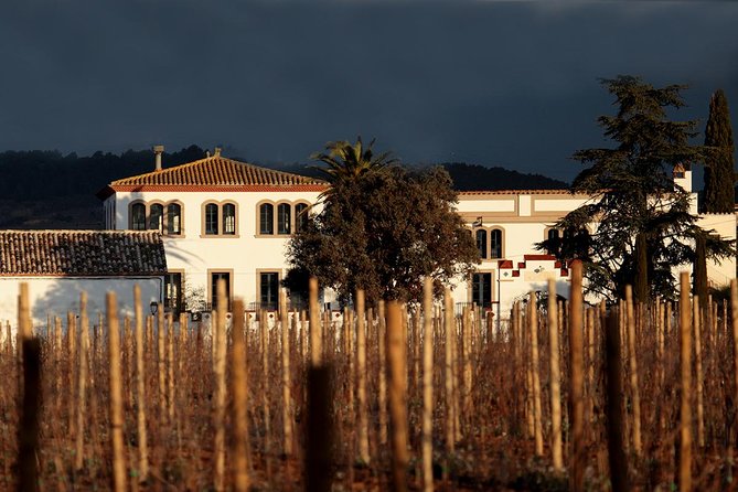 Penedes Wine & Cava Tasting & 4WD Vineyards Tour from Barcelona - The drive, the timing, and why the pacing can feel different