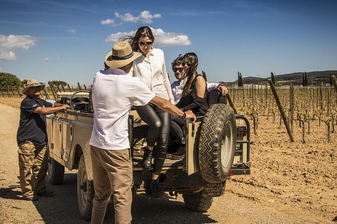 Penedes Wine & Cava Tasting & 4WD Vineyards Tour from Barcelona - Who this tour suits best (and who should look elsewhere)