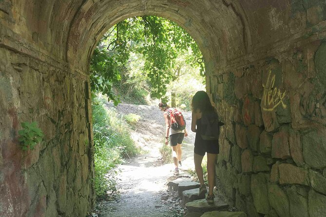 Photography route through the secret nature of Barcelona - Why this photography route feels different in Barcelona