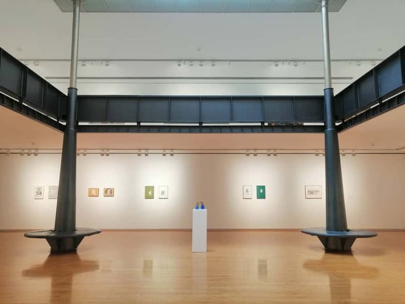 Picasso Museum and Walking Tour Plus Wine Tasting Upgrade - Key takeaways before you go