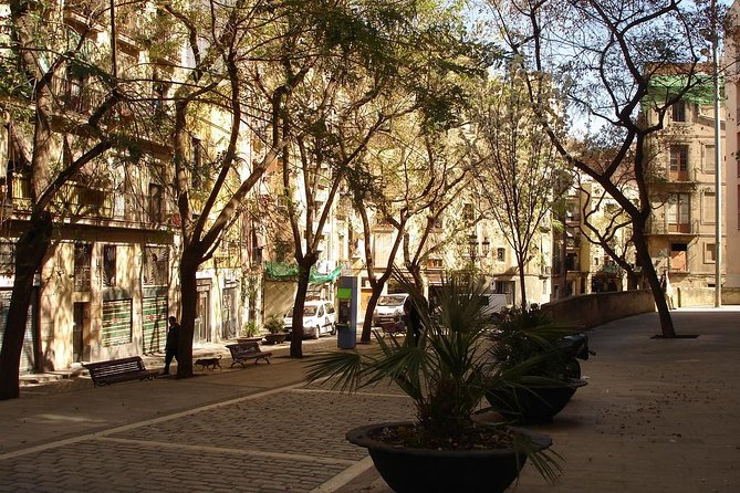 Picasso Museum & Private Walking Tour of Born or Gothic Quarter - Picasso Museum with your private guide: 1 hour that can change how you see him