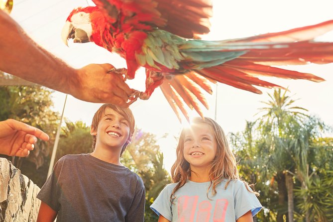PortAventura Park Day Trip from Barcelona - Key highlights before you go
