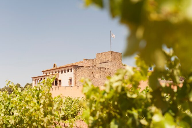 Premium Montserrat & Wine Full Day Tour from Barcelona - Barcelona North Station to Montserrat: bus comfort and timing that shape the day