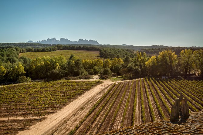 Premium Montserrat & Wine Full Day Tour from Barcelona - Should you book the Premium Montserrat and Wine Full Day Tour?
