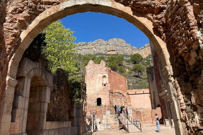 Priorat tour to 3 small wineries and hotel pick-up - Final stop in the Devinssi vineyards: 100+ year Carignan and serious views